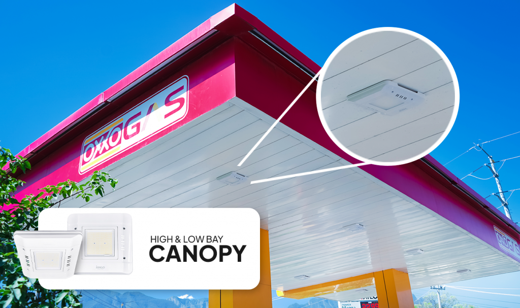 OXXO - CANOPY