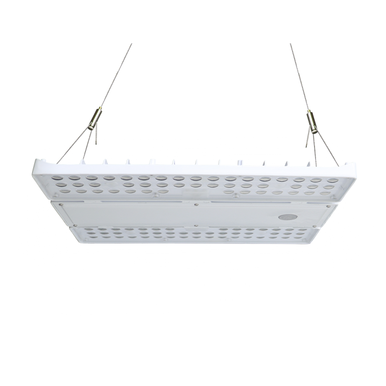Orion – Jungo Lighting
