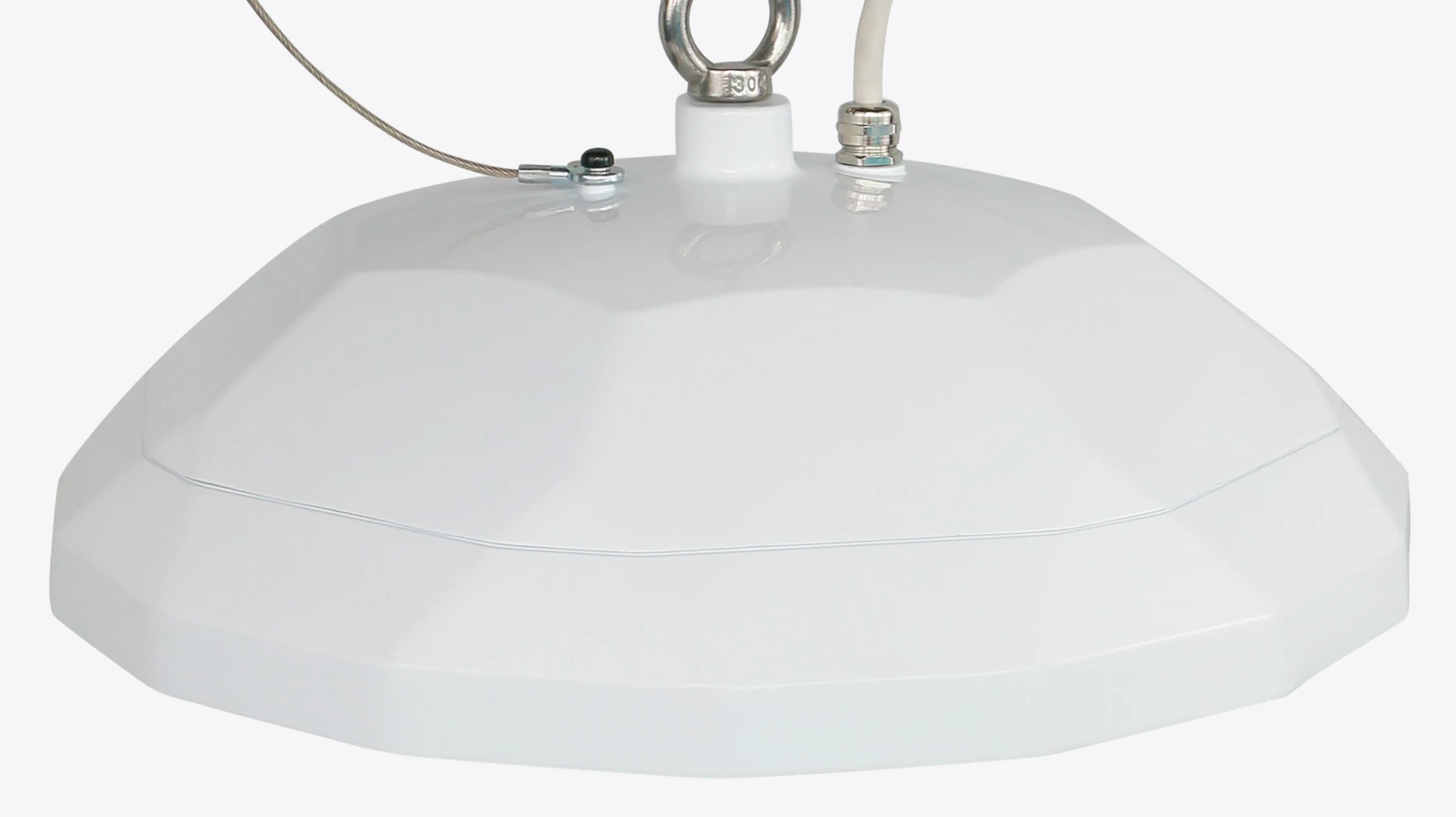 Cuerpo sellado IP69K de la Clean Plus con prensaestopa y argolla - Jungo Lighting